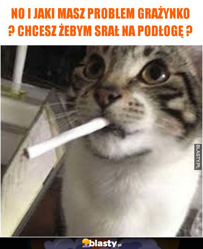 No i jaki masz problem grażynko ? chcesz żebym srał na podłogę ?