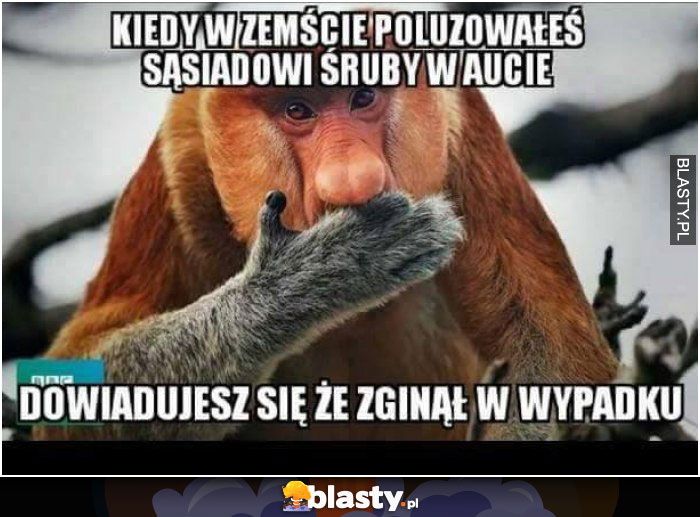 nosacz janusz kiedy w zemscie poluzowales sruby