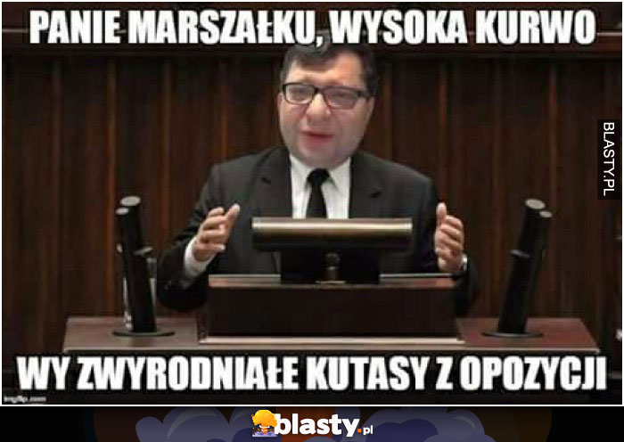 Panie marszałku wysoka kurwo wy zwyrodniałe