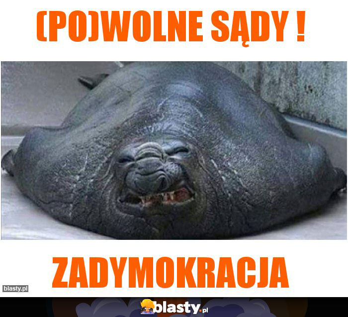 (PO)WOLNE SĄDY !