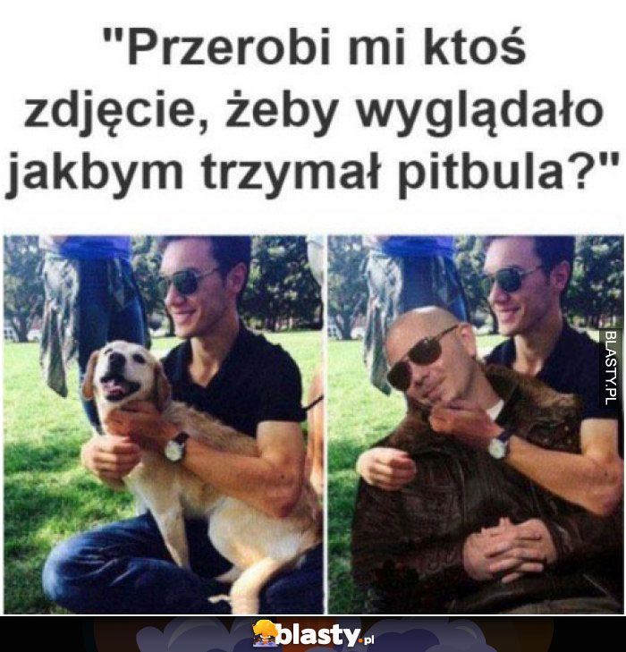 Przerobi mi ktoś zdjęcie, żeby wyglądało jakbym trzymał pitbula