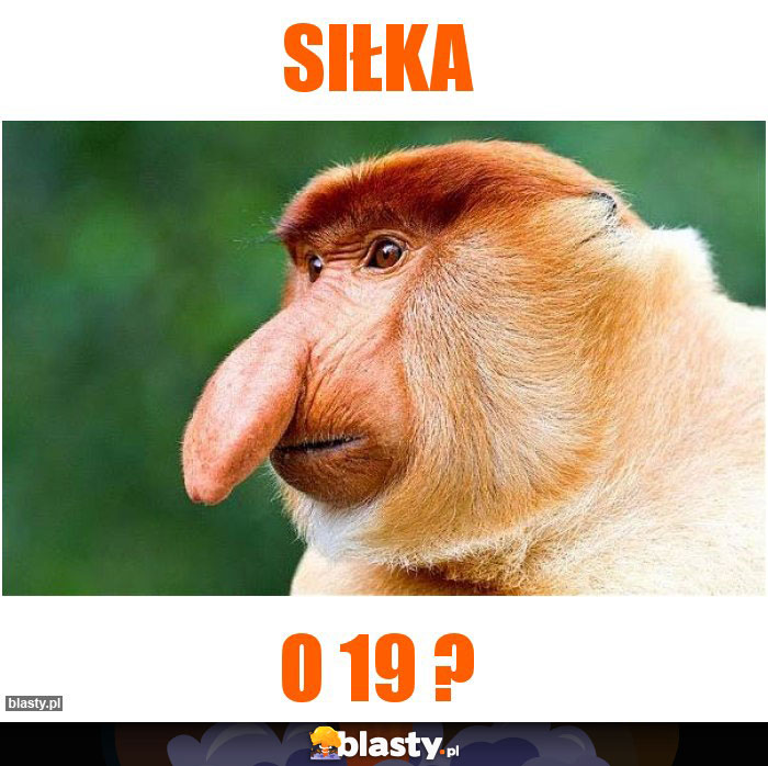 Siłka
