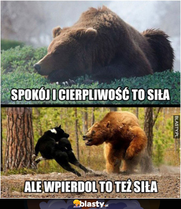 Spokój i cierpliwość to siła