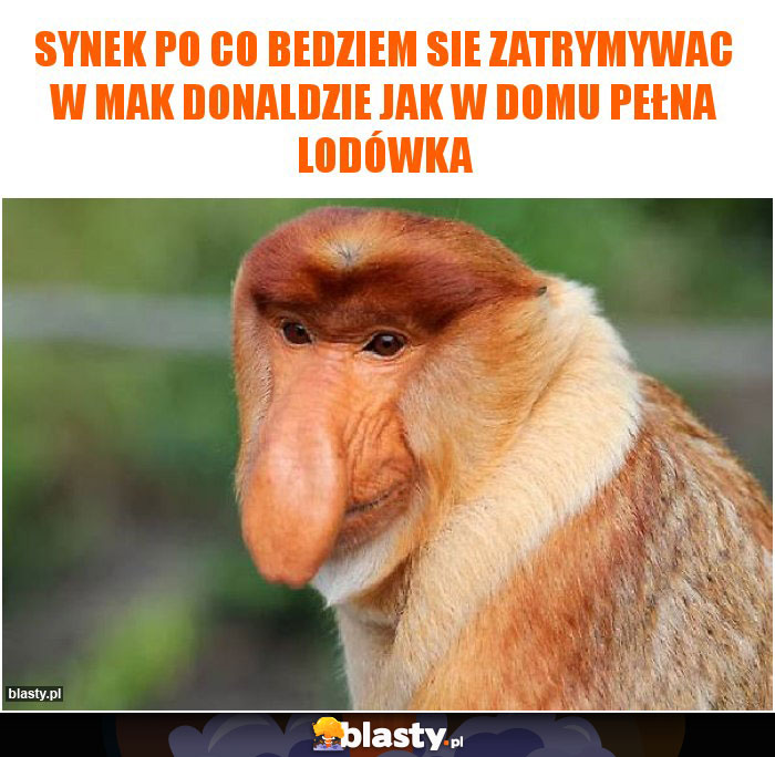 Synek po co bedziem sie zatrymywac w mak donaldzie jak w domu pełna lodówka