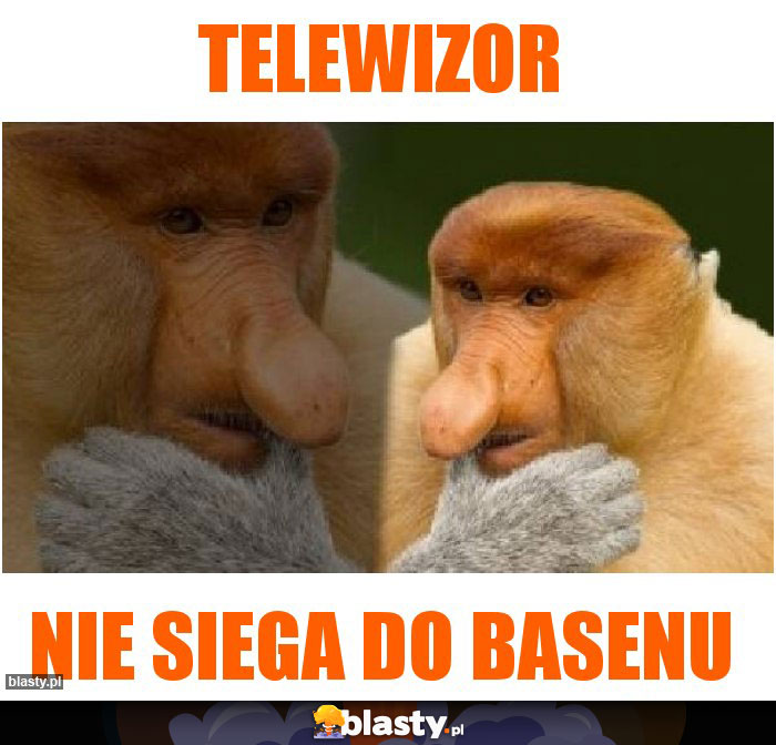 telewizor