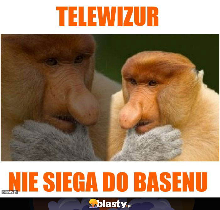telewizur