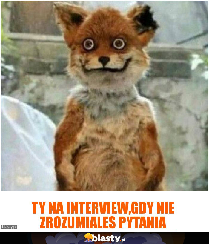 ty na interview,gdy nie zrozumiales pytania
