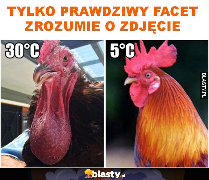 tylko-prawdziwy-facet-zrozumie-o_2017-07