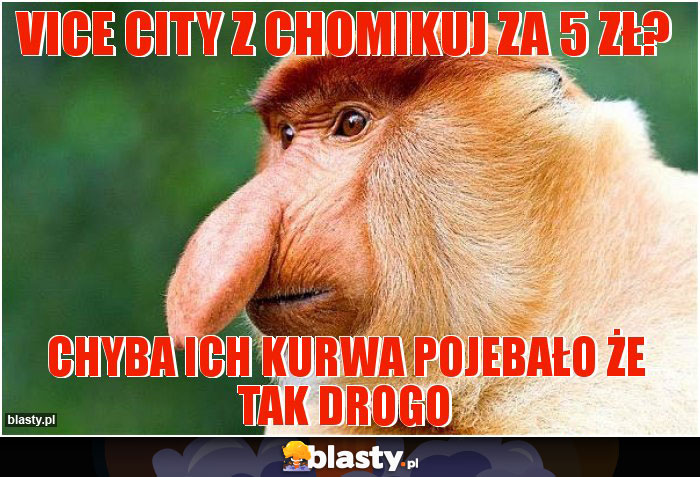 VICE CITY Z CHOMIKUJ ZA 5 ZŁ?
