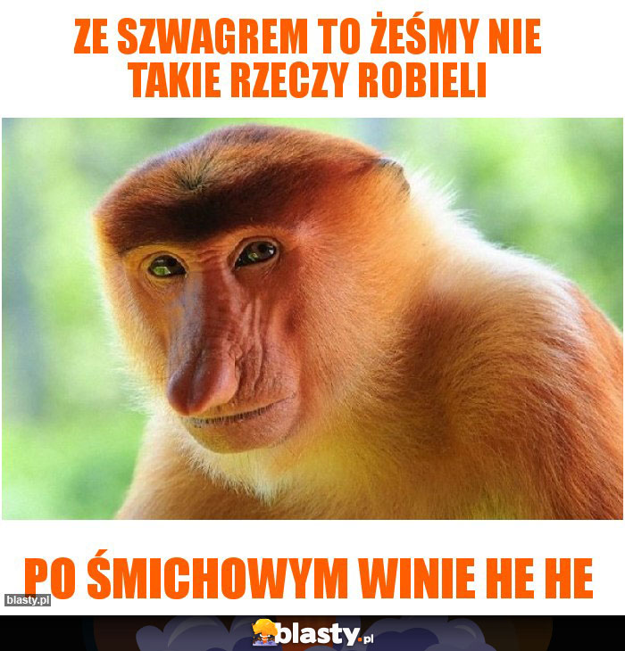 Ze szwagrem to żeśmy nie takie rzeczy robieli
