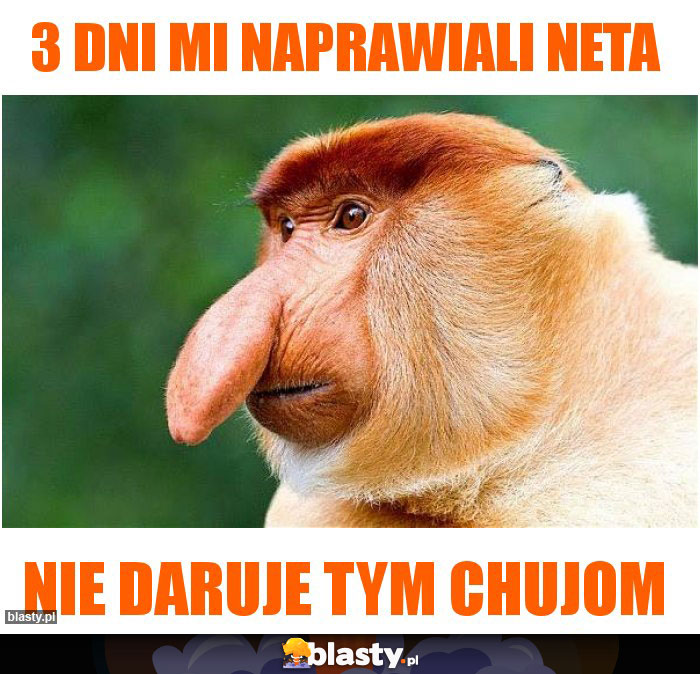 3 DNI MI NAPRAWIALI NETA
