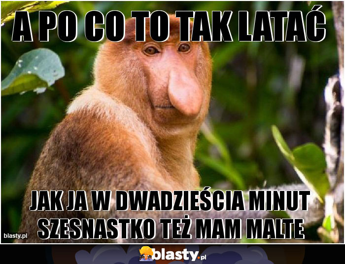 A PO CO TO TAK LATAĆ