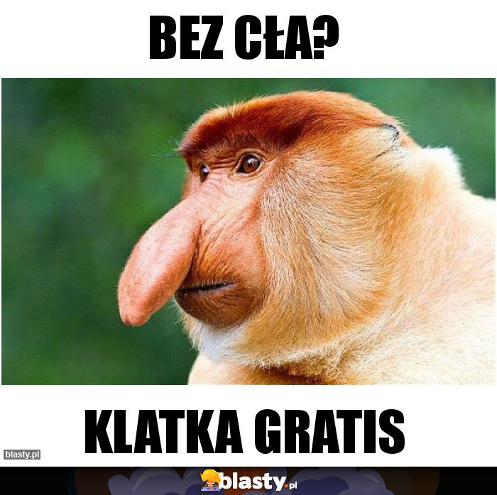 Bez cła?