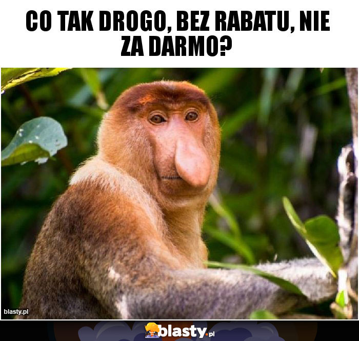 Co tak drogo, bez rabatu, nie za darmo?