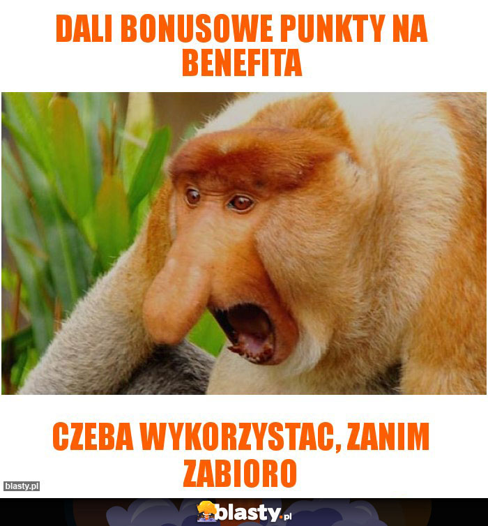 Dali bonusowe punkty na Benefita