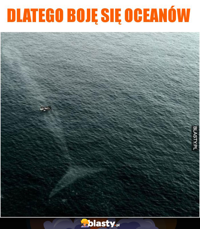 Dlatego boję się oceanów
