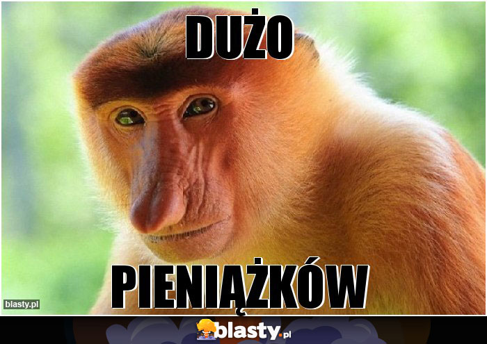 DUŻO