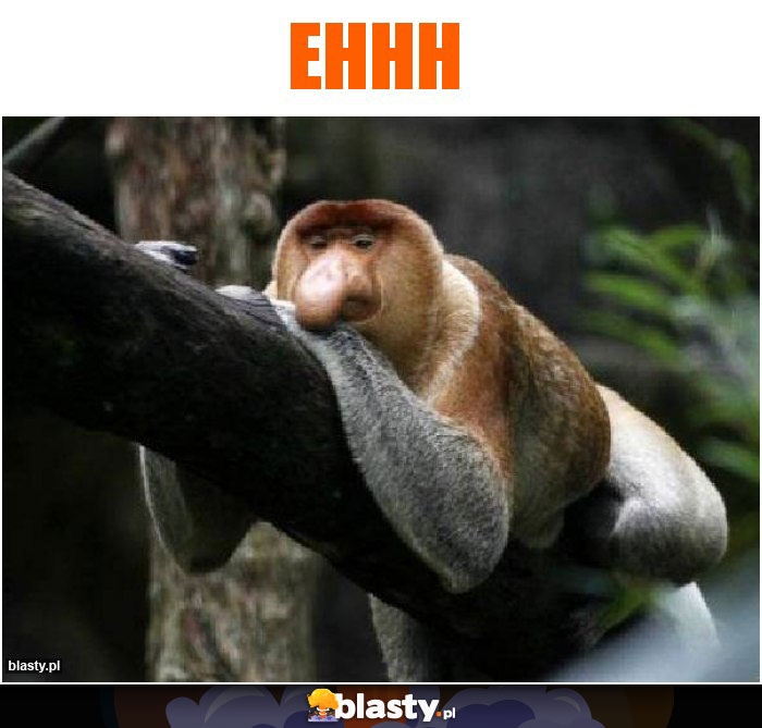 ehhh