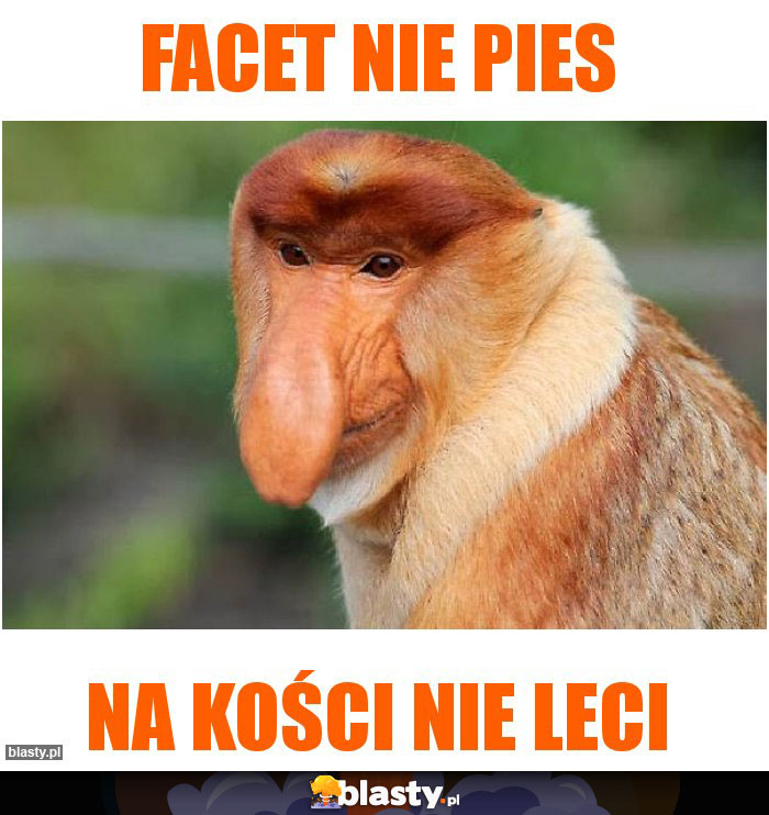 Facet nie pies