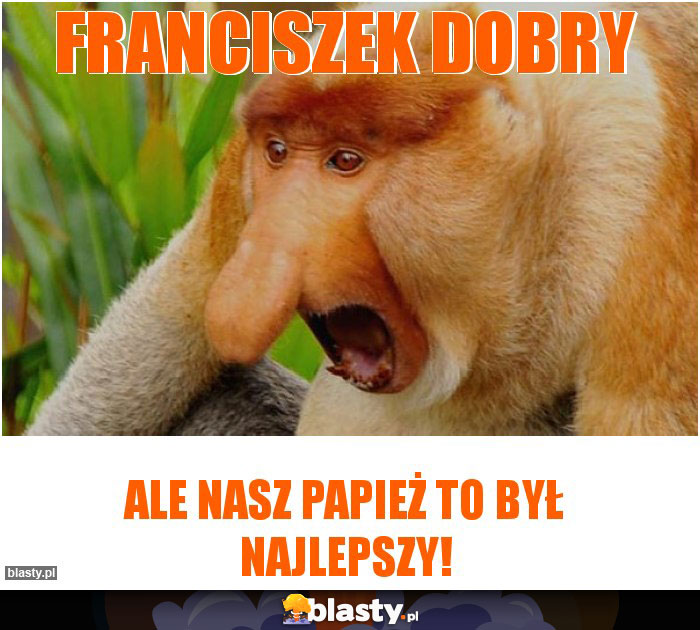 Franciszek dobry