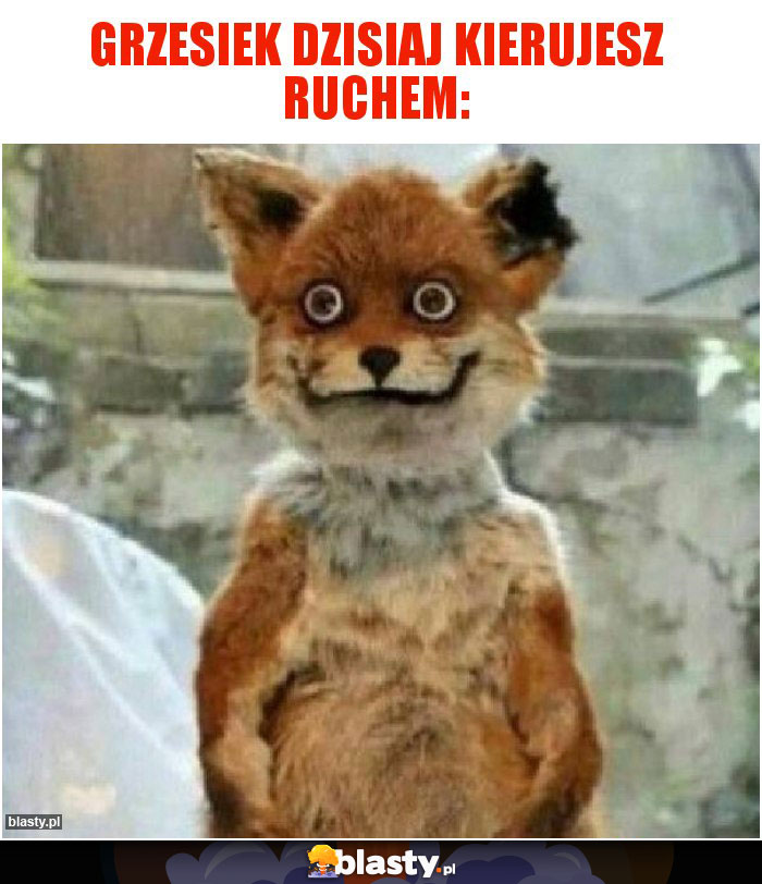 Grzesiek dzisiaj kierujesz ruchem: