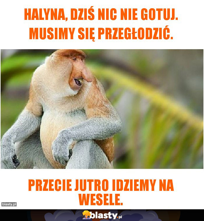 Halyna, dziś nic nie gotuj. Musimy się przegłodzić.
