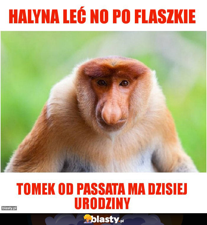 Halyna leć no po flaszkie
