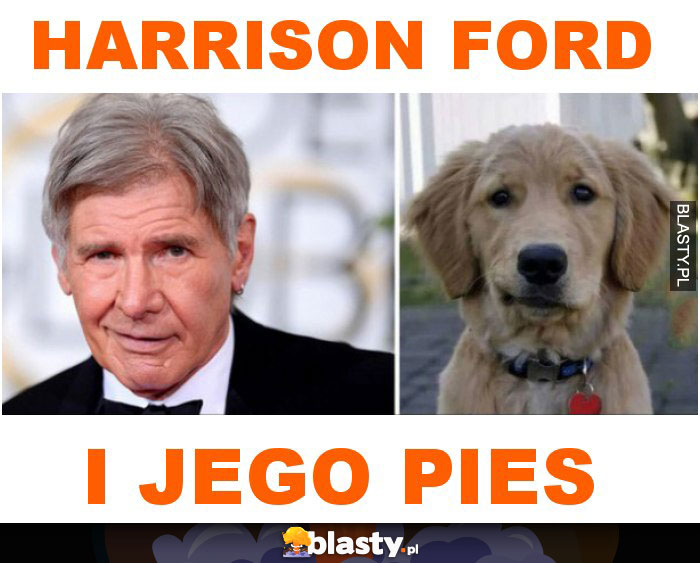 Harrison ford i jego pies
