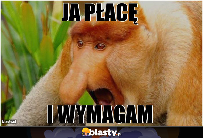 Ja płacę