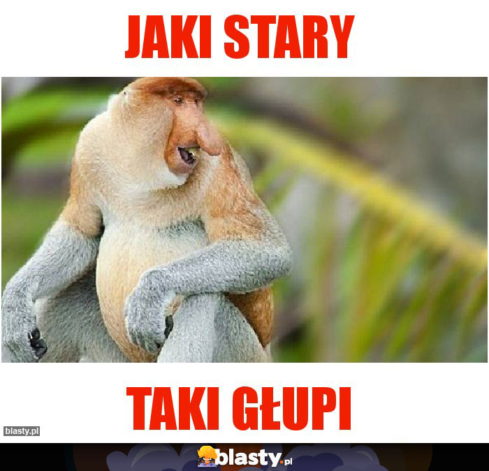 Jaki stary