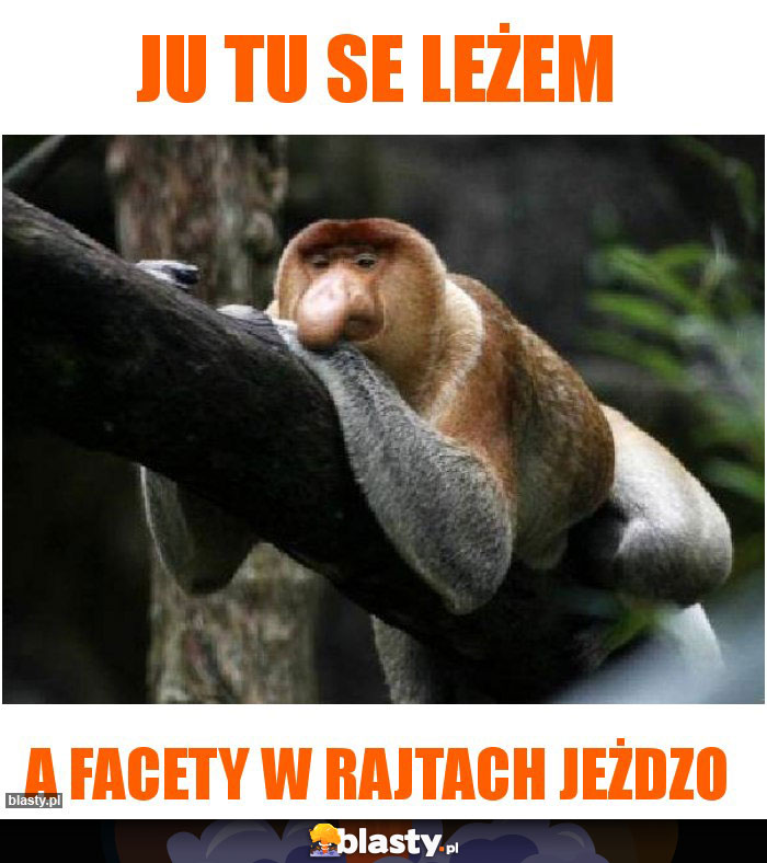 ju tu se leżem