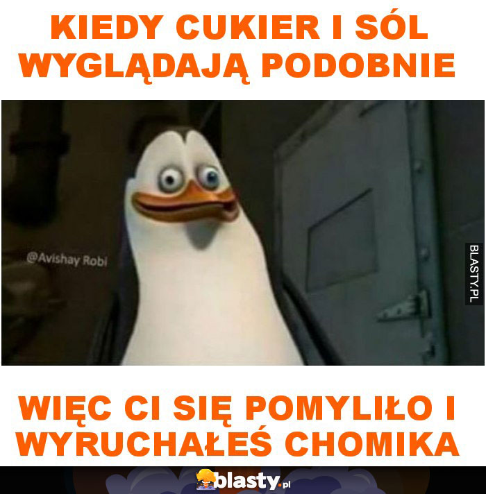 Kiedy cukier i sól wyglądają podobnie więc ci się pomyliło i wyruchałeś chomika