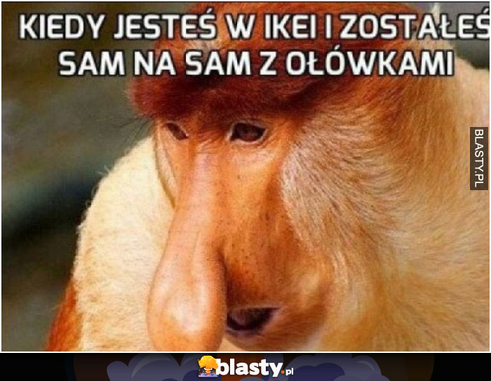 Kiedy jesteś w ikeii