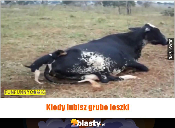 Kiedy lubisz...