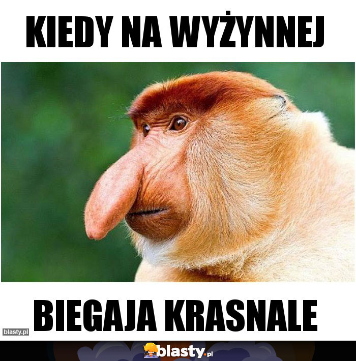 Kiedy na wyżynnej
