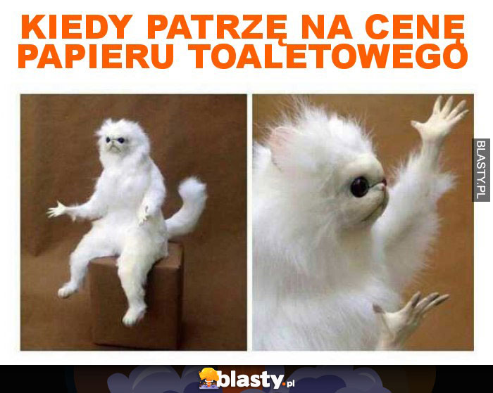 Kiedy patrzę na cenę papieru toaletowego