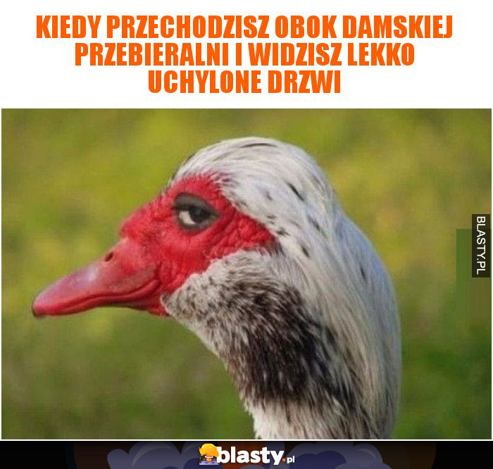 Kiedy przechodzisz obok damskiej przebieralni i widzisz lekko uchylone drzwi