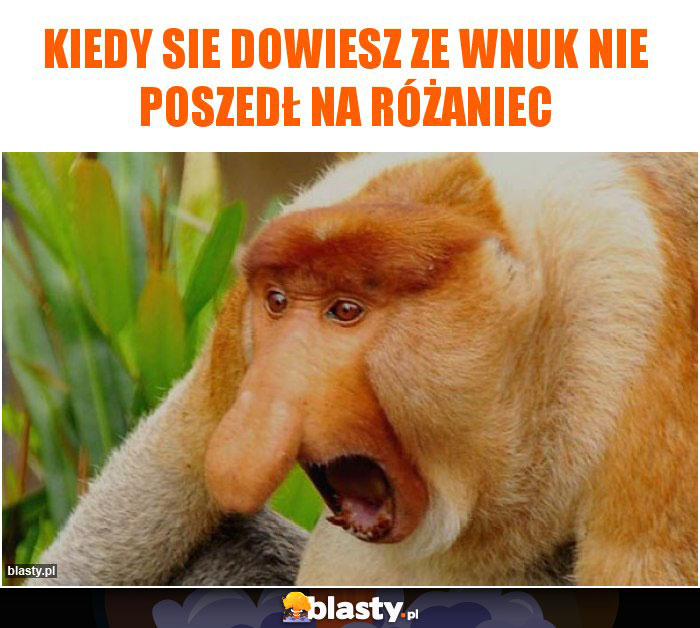 Kiedy sie dowiesz ze wnuk nie poszedł na różaniec