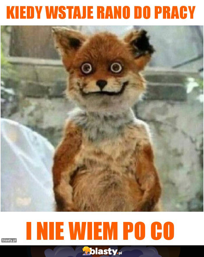 kiedy wstaje rano do pracy