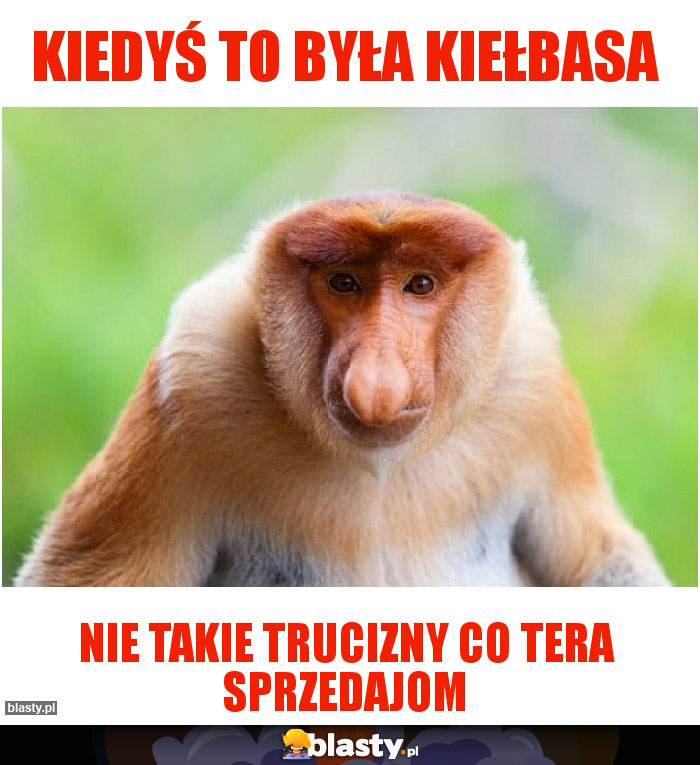 Kiedyś to była kiełbasa