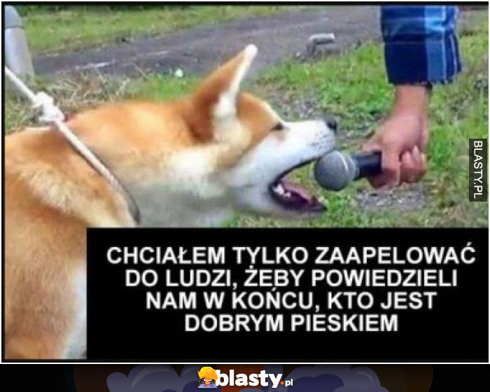 Kto jest dobrym piesełem