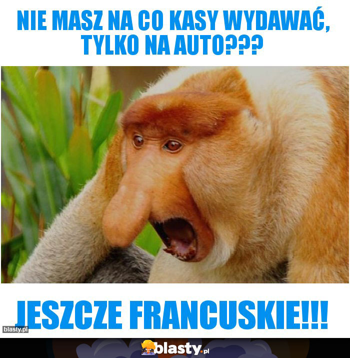 Nie masz na co kasy wydawać, tylko na auto???