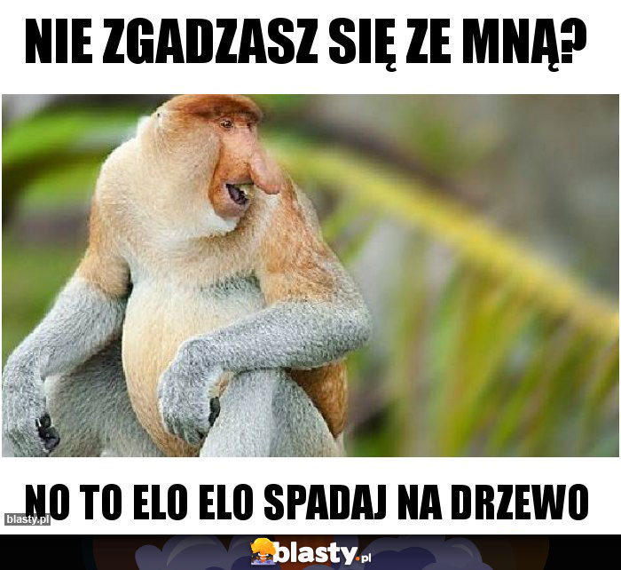NIE ZGADZASZ SIĘ ZE MNĄ?