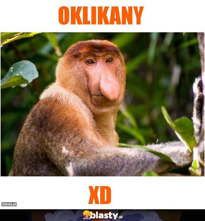 Oklikany
