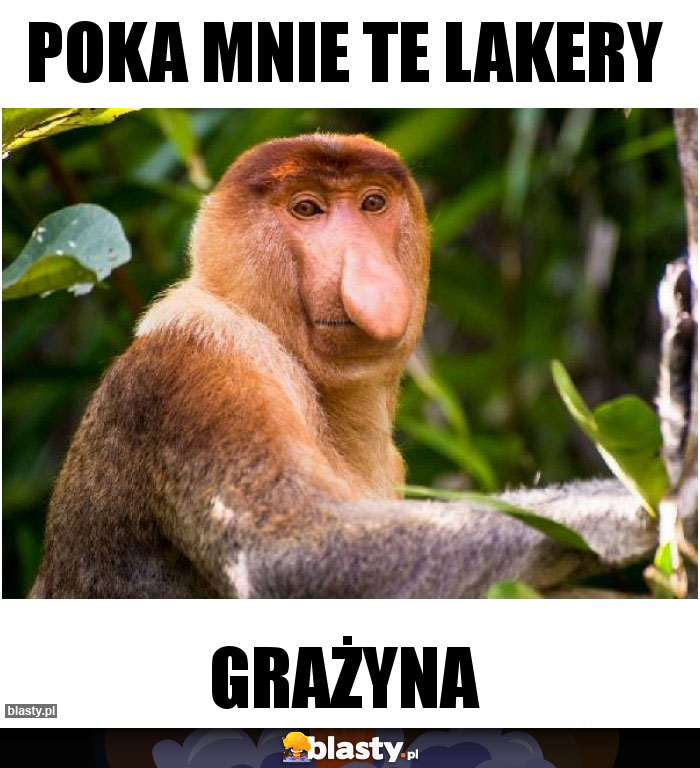 POKA MNIE TE LAKERY