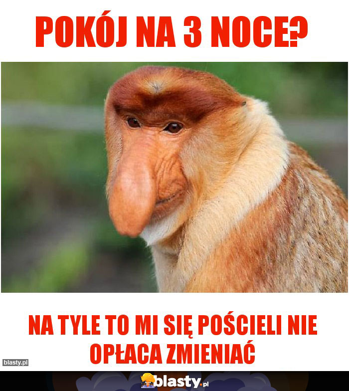 Pokój na 3 noce?