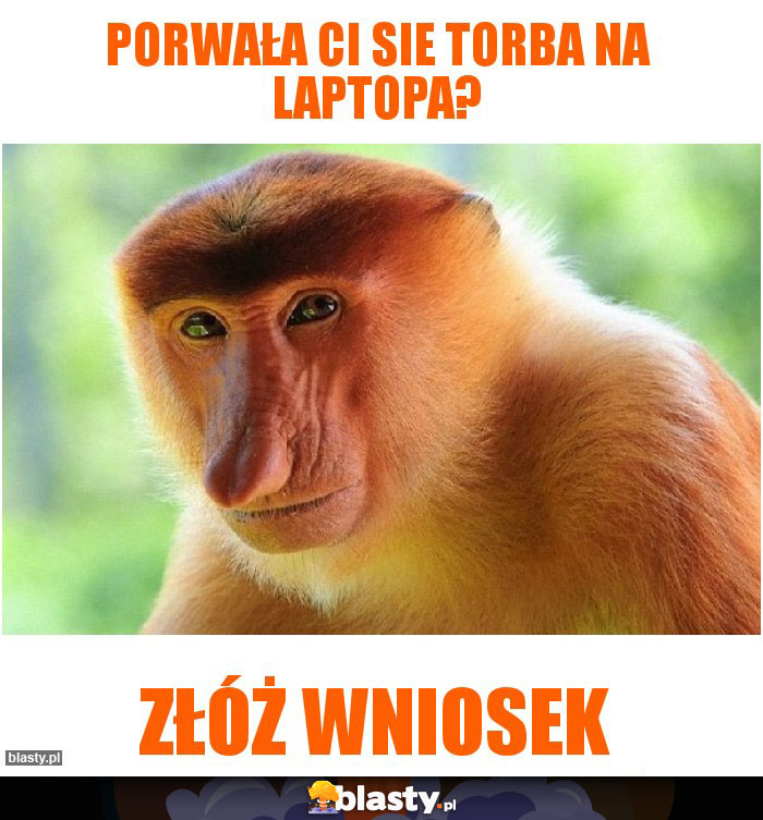 PORWAŁA CI SIE TORBA NA LAPTOPA?