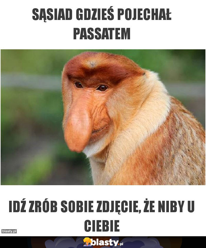 Sąsiad gdzieś pojechał passatem