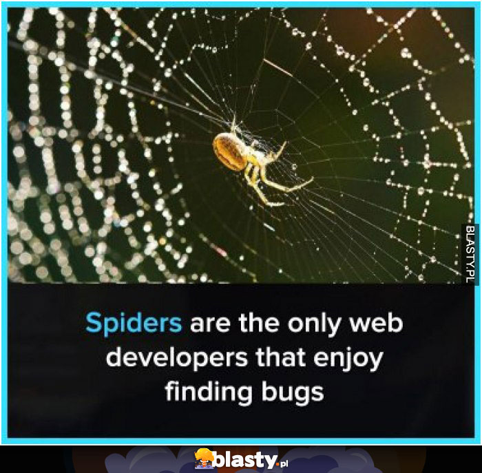 Spiders are the only web developers that enjoy findings bugs