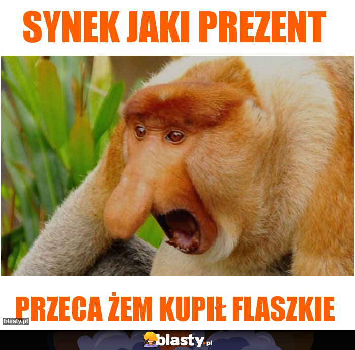Synek jaki prezent